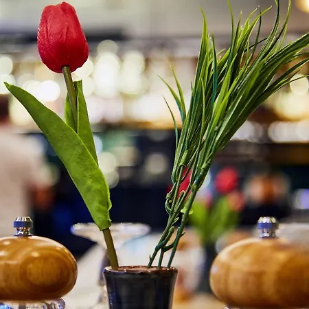 Levni 伊斯坦布尔